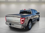 2021 F-150 Thumbnail 6