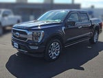 2021 F-150 Thumbnail 4