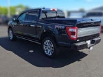 2021 F-150 Thumbnail 7