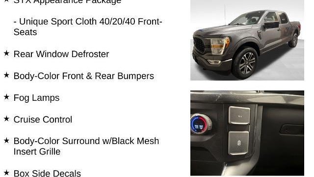 2021 Ford F-150 Platinum