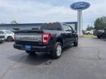 2021 F-150 Thumbnail 15