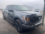 2021 F-150 Thumbnail 3