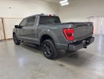 2021 F-150 Thumbnail 6