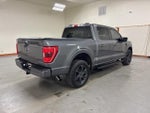 2021 F-150 Thumbnail 9