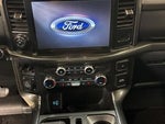 2021 F-150 Thumbnail 13