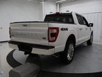 2021 F-150 Thumbnail 4