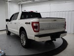 2021 F-150 Thumbnail 5