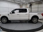 2021 F-150 Thumbnail 6