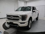 2021 F-150 Thumbnail 7