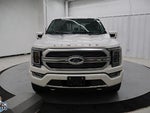 2021 F-150 Thumbnail 8