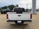 2021 F-150 Thumbnail 3