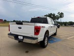 2021 F-150 Thumbnail 4