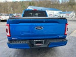 2021 F-150 Thumbnail 7