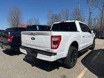 2021 F-150 Thumbnail 8