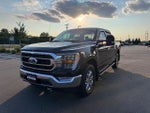 2021 F-150 Thumbnail 2