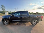 2021 F-150 Thumbnail 6