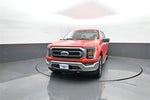 2021 F-150 Thumbnail 3