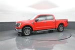 2021 F-150 Thumbnail 4