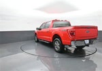 2021 F-150 Thumbnail 5