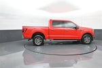 2021 F-150 Thumbnail 8
