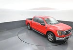 2021 F-150 Thumbnail 22