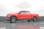 2021 F-150 Thumbnail 33