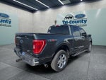 2021 F-150 Thumbnail 6