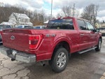 2021 F-150 Thumbnail 13