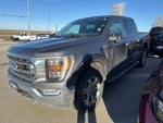 2021 F-150 Thumbnail 2
