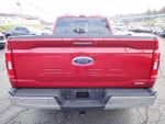 2022 F-150 Thumbnail 6
