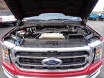2022 F-150 Thumbnail 16