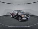 2022 F-150 Thumbnail 2