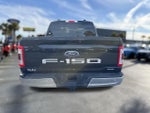 2022 F-150 Thumbnail 5