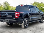 2022 F-150 Thumbnail 13