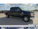 2022 F-150 Thumbnail 2