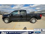 2022 F-150 Thumbnail 7