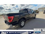 2022 F-150 Thumbnail 10