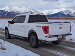 2022 F-150 Thumbnail 4