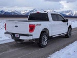 2022 F-150 Thumbnail 6