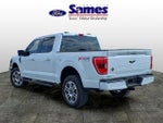 2022 F-150 Thumbnail 5