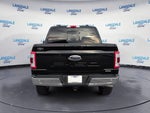 2022 F-150 Thumbnail 8