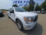 2022 F-150 Thumbnail 4