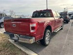 2022 F-150 Thumbnail 4