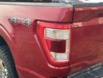 2022 F-150 Thumbnail 7