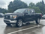 2022 F-150 Thumbnail 3