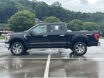 2022 F-150 Thumbnail 4