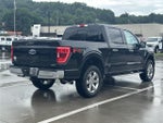 2022 F-150 Thumbnail 7