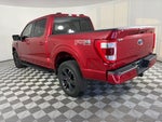 2022 F-150 Thumbnail 5