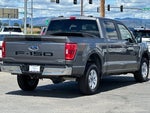 2022 F-150 Thumbnail 4