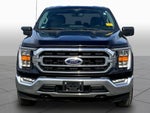 2022 F-150 Thumbnail 4